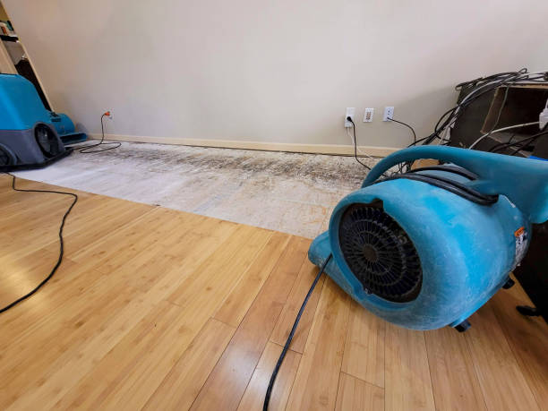 Professional Flood Damage Cleanup technician working in Ooltewah, TN